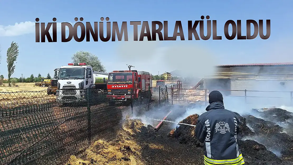 Konya'da 2 dönüm buğday tarlası kül oldu!