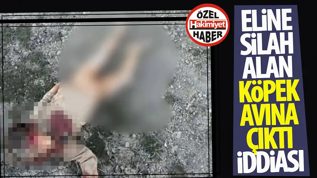 Konya'da 2 Yaşındaki Bebeğin Köpekler Tarafından Öldürülmesi Büyük Tepki Çekti