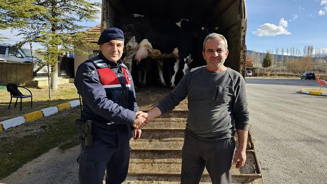 Konya'da 300 bin liralık büyükbaş çalındı iddiası şüpheli tutuklandı