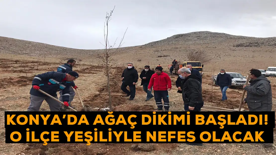 Konya'da ağaç dikimi başladı! O ilçe yeşiliyle nefes olacak