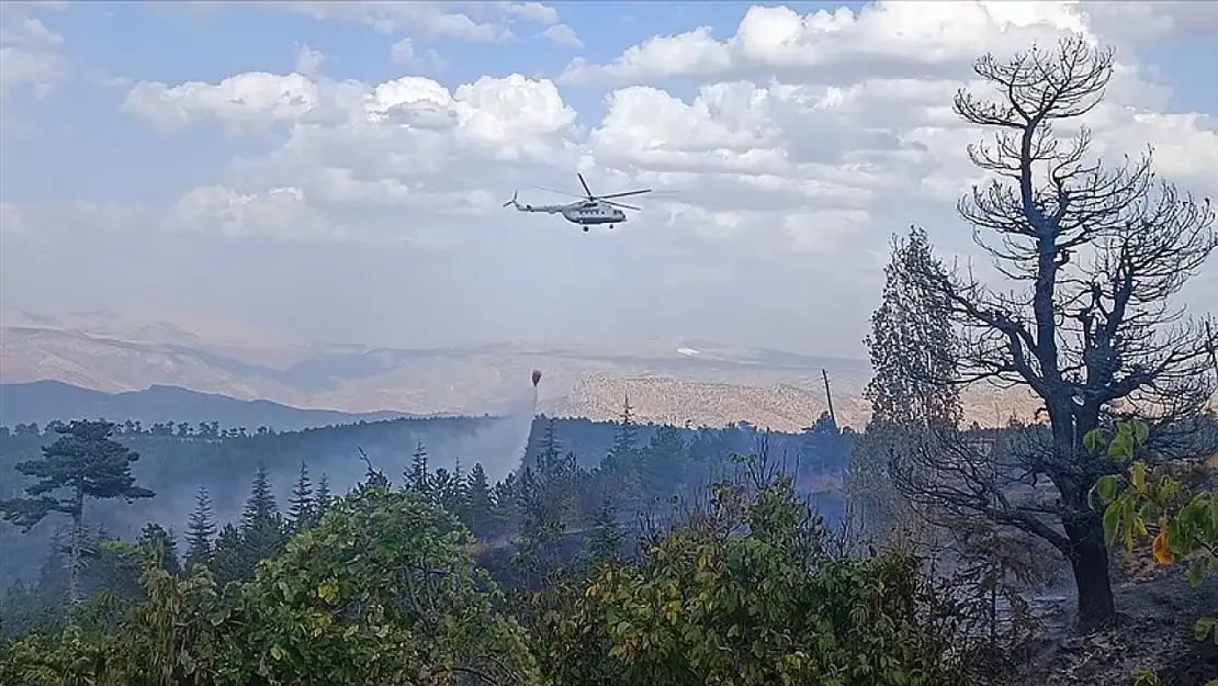 Konya'da ağaçlık alanda çıkan yangın korkuya neden oldu
