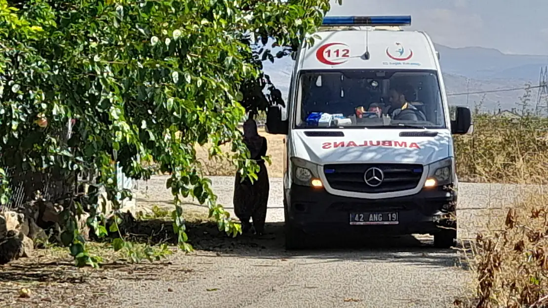 Konya'da ağaçtan düştü! Vücudunda kırıklar oluştu