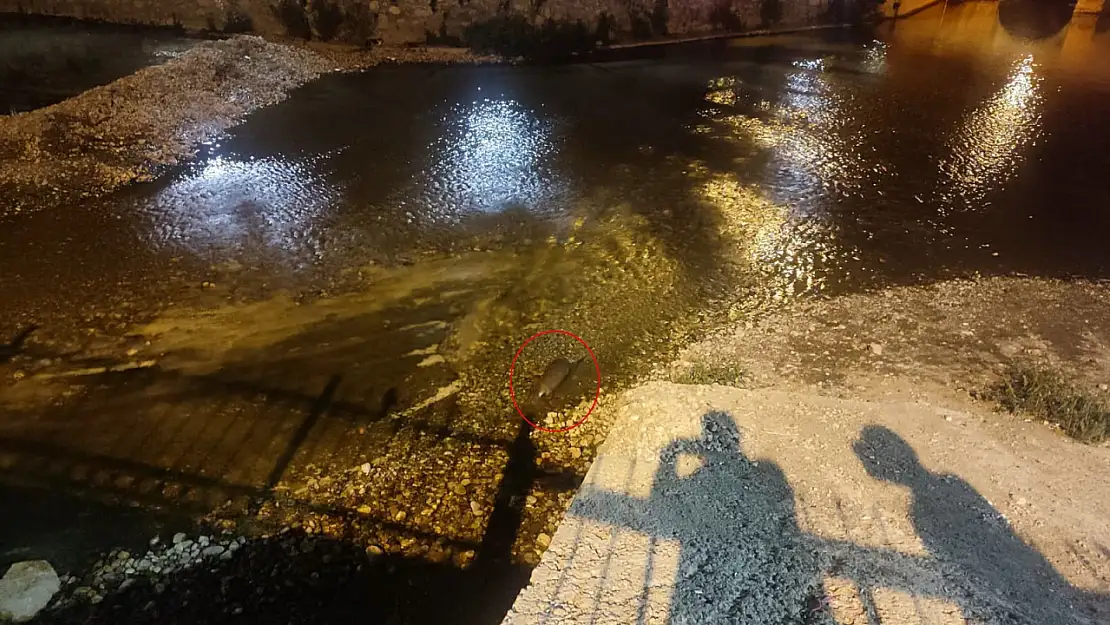 Konya'da akşam saatlerinde ortaya çıktı! Görenler telefonuna sarıldı