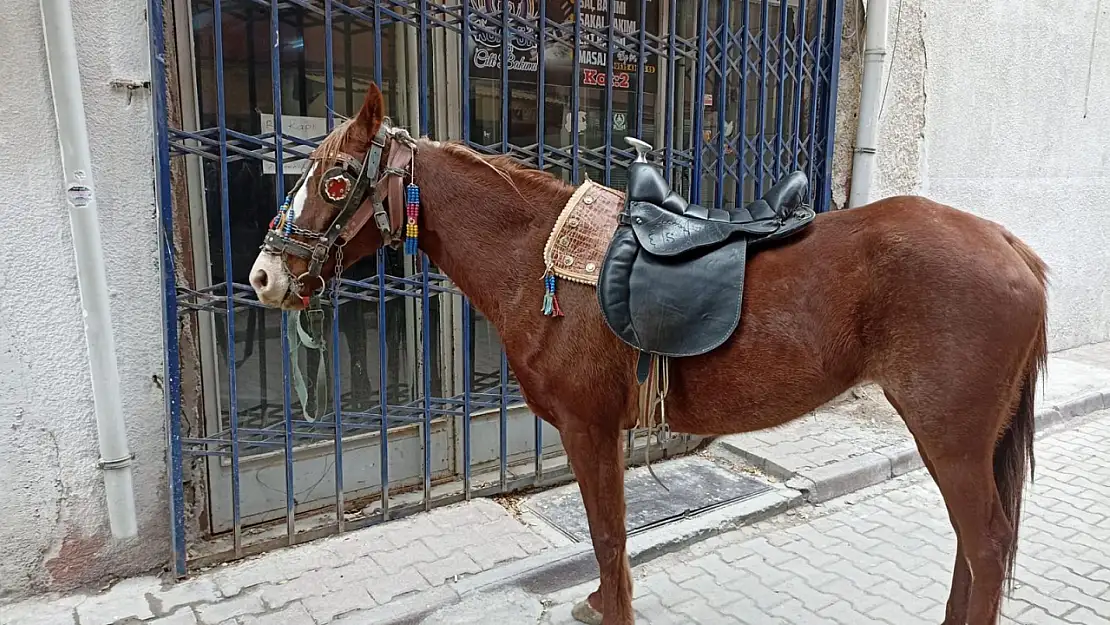 Konya'da Alkollü at binicisine 10 bin lira ceza