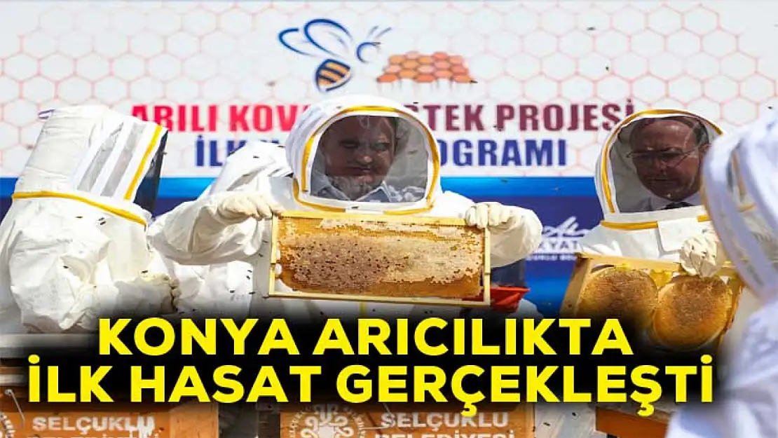 Konya arıcılıkta ilk hasat gerçekleşti