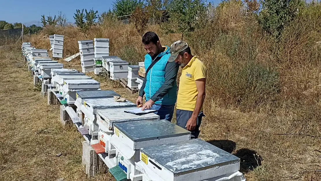 Konya'da arılı kovan sayımları sürüyor