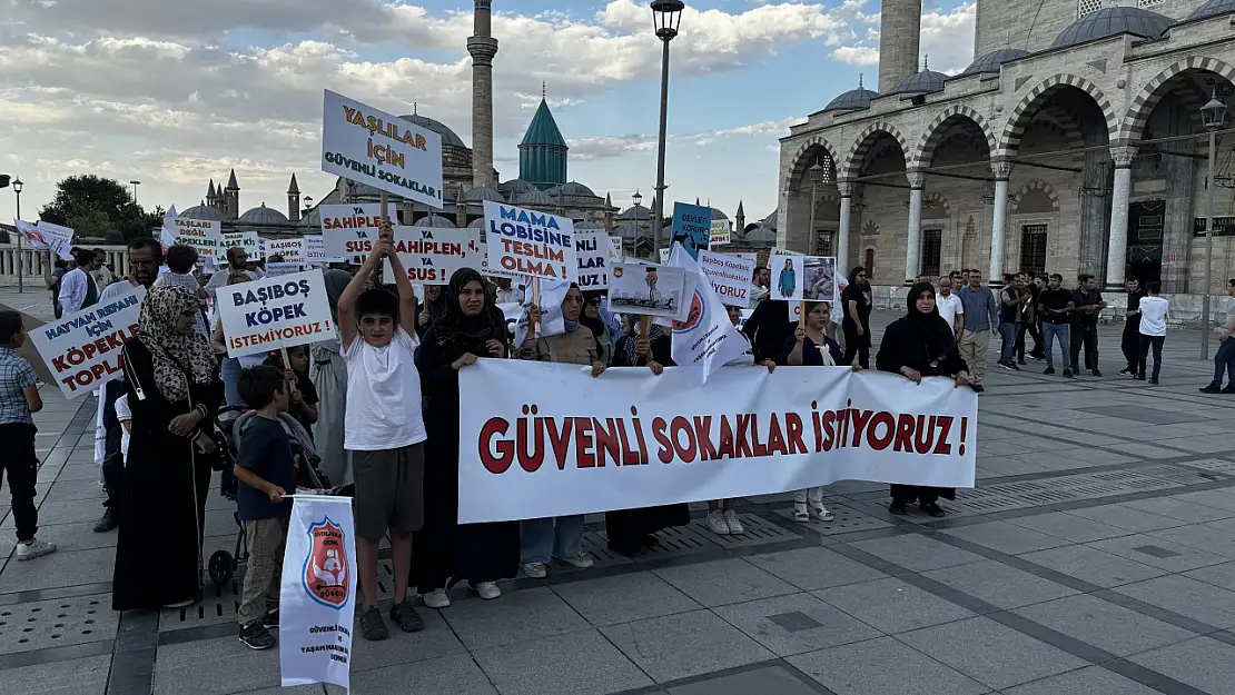Konya'da 'Başıboş Köpek Sorununa 'Dur' De' yürüyüşü gerçekleşti