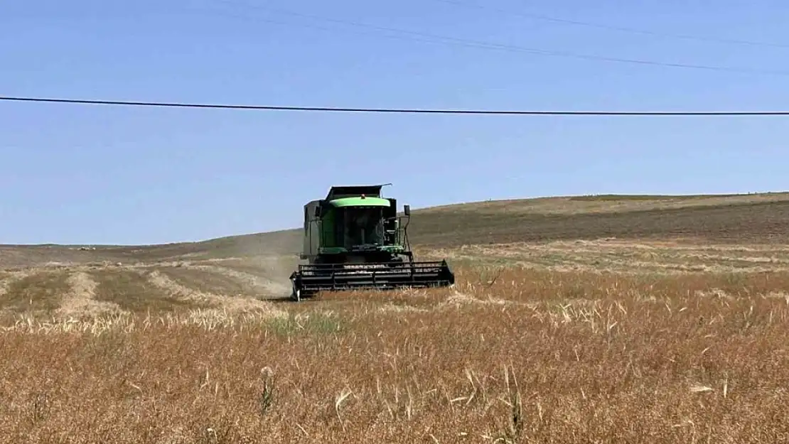 Konya'da, deneme ekimi yapıldı! Bakın neler oldu…