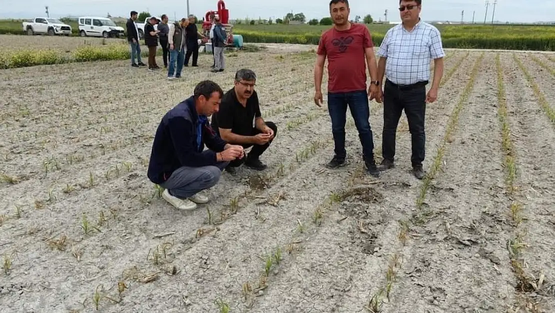 Konya'da ekili alanlarda neler oluyor? Yetkililer incelemelerini sürdürüyor!