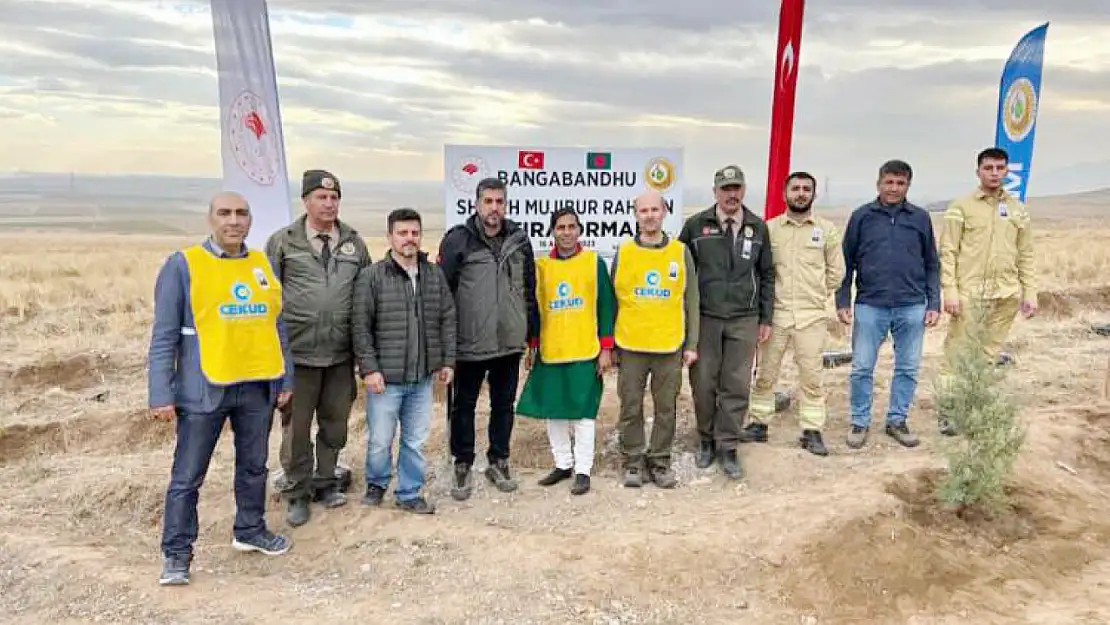 Konya'da farklı bir orman! Bangladeş hatıra ormanı!