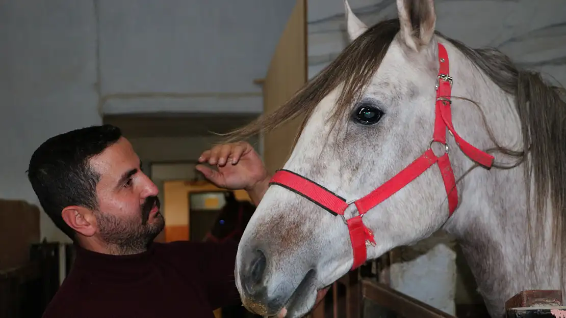 Konya'da gençlere at sevgisi aşılanıyor