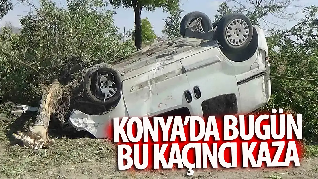 Konya'da hafif ticari araç ağaçlara çarptı