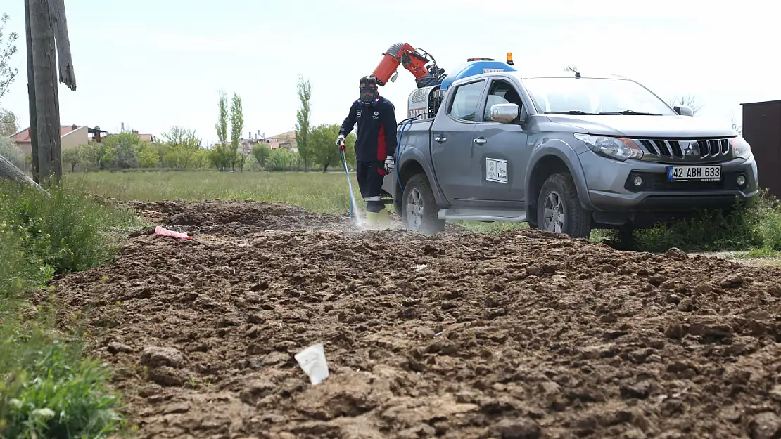 Konya'da haşere ve sinekle mücadele başladı