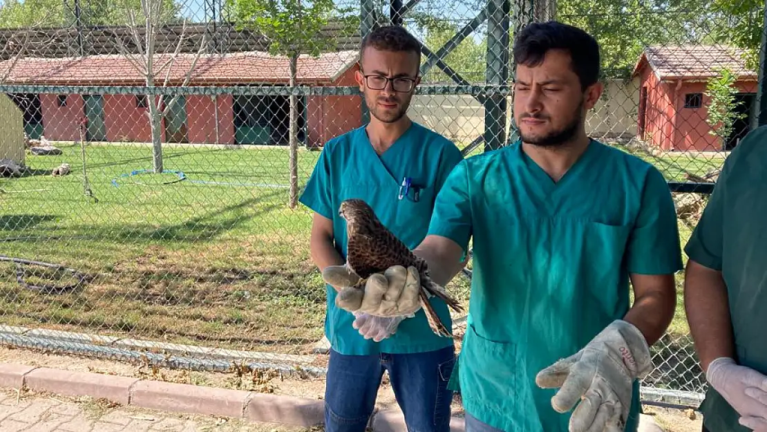 Konya'da, içler acısı bir halde bulundu