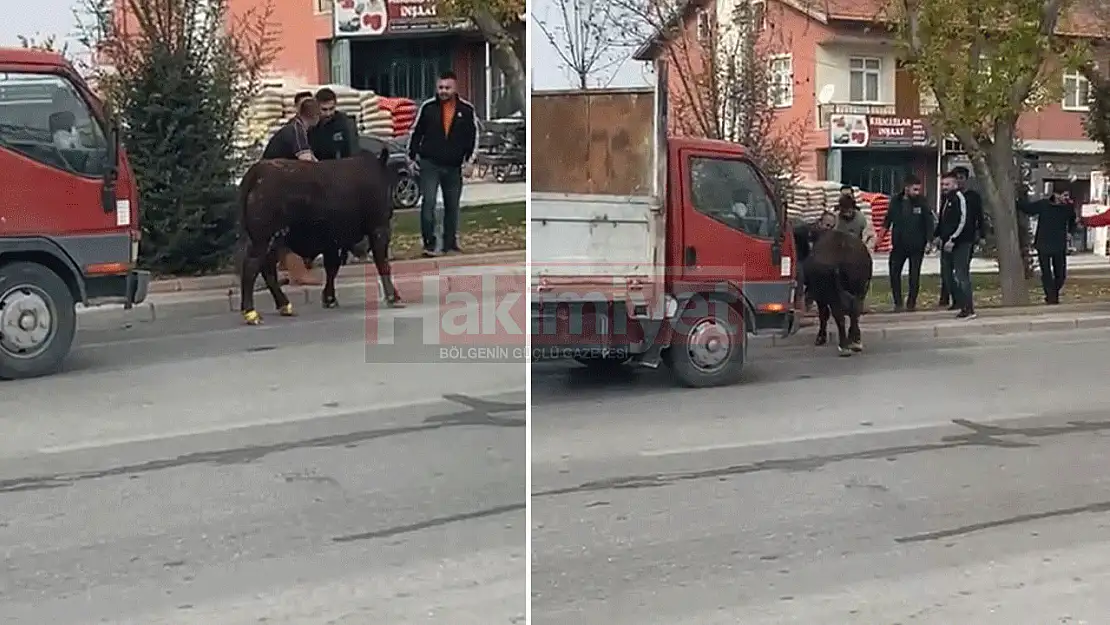 Konya'da kaçan boğa ortalığı birbirine kattı! O anlar kamerada