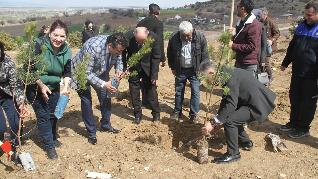 Konya'da kadınlar gününde fidan dikme etkinliği düzenlendi!