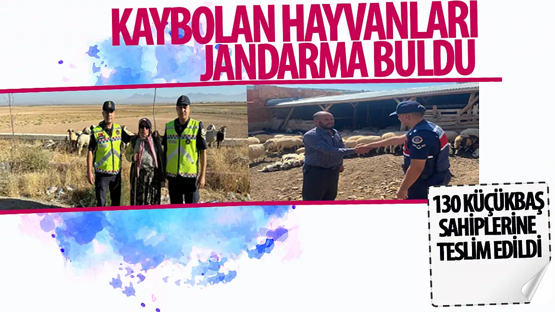 Konya'da kaybolan 130 küçükbaş bulundu!