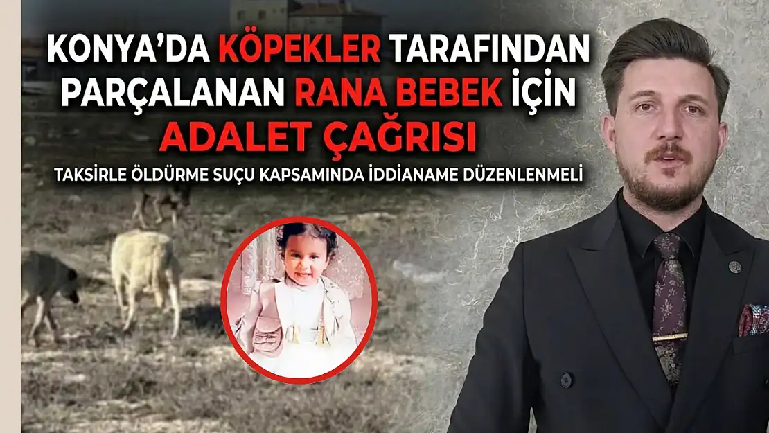 Konya'da köpekler tarafından parçalanan Rana bebek için adalet çağrısı: 'Taksirle öldürme suçu kapsamında iddianame düzenlenmeli'