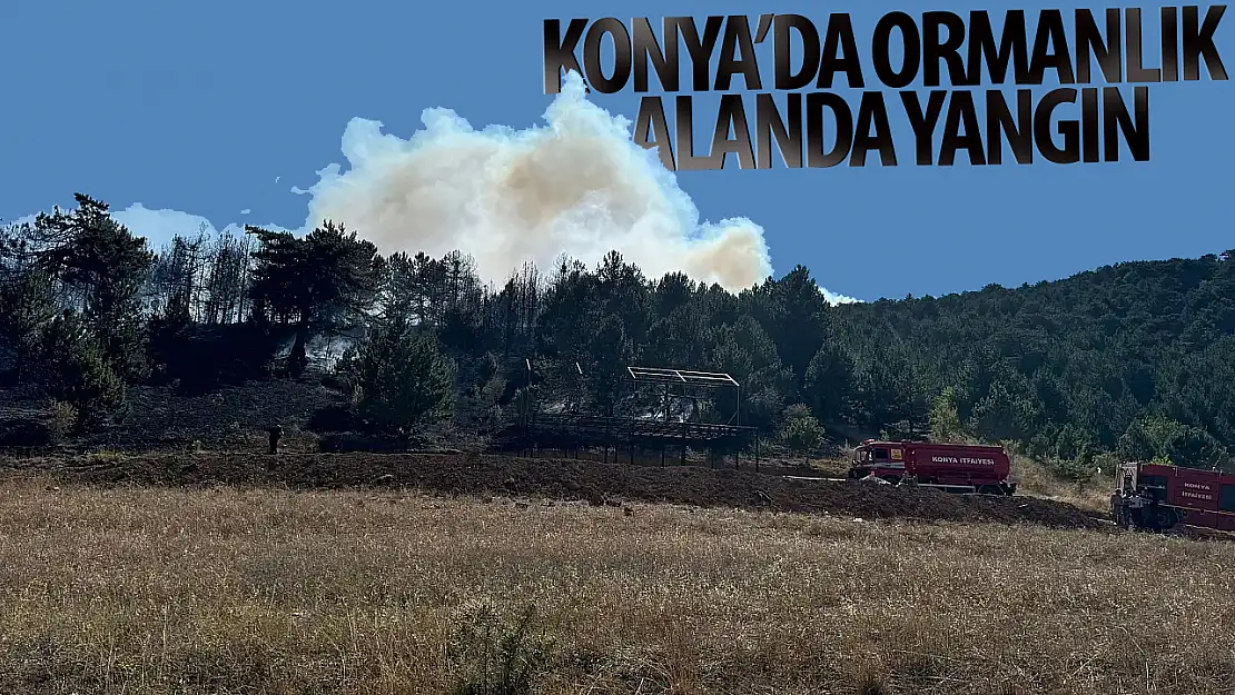 Konya'da ormanlık alanda yangın çıktı