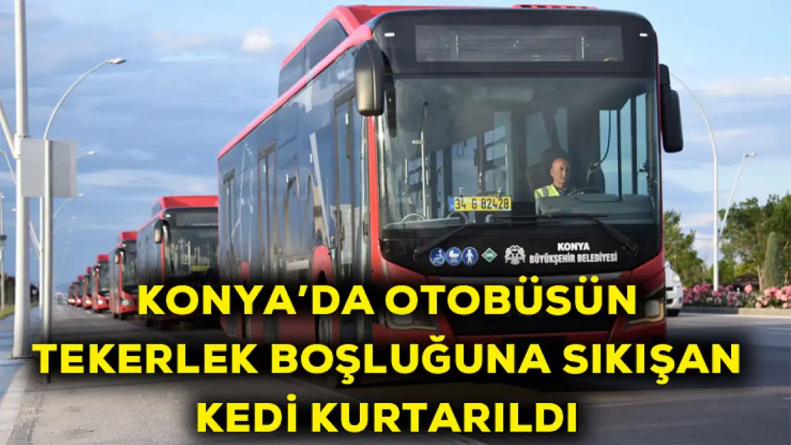 Konya'da otobüsün tekerlek boşluğuna sıkışan kedi kurtarıldı