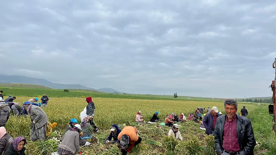 Konya'da sağanak yağış sonucu büyük zarar