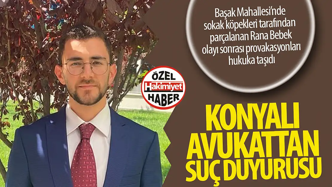 Konya'da Sahipsiz Köpeklerin Usulsüz Toplanmasıyla İlgili Suç Duyurusu