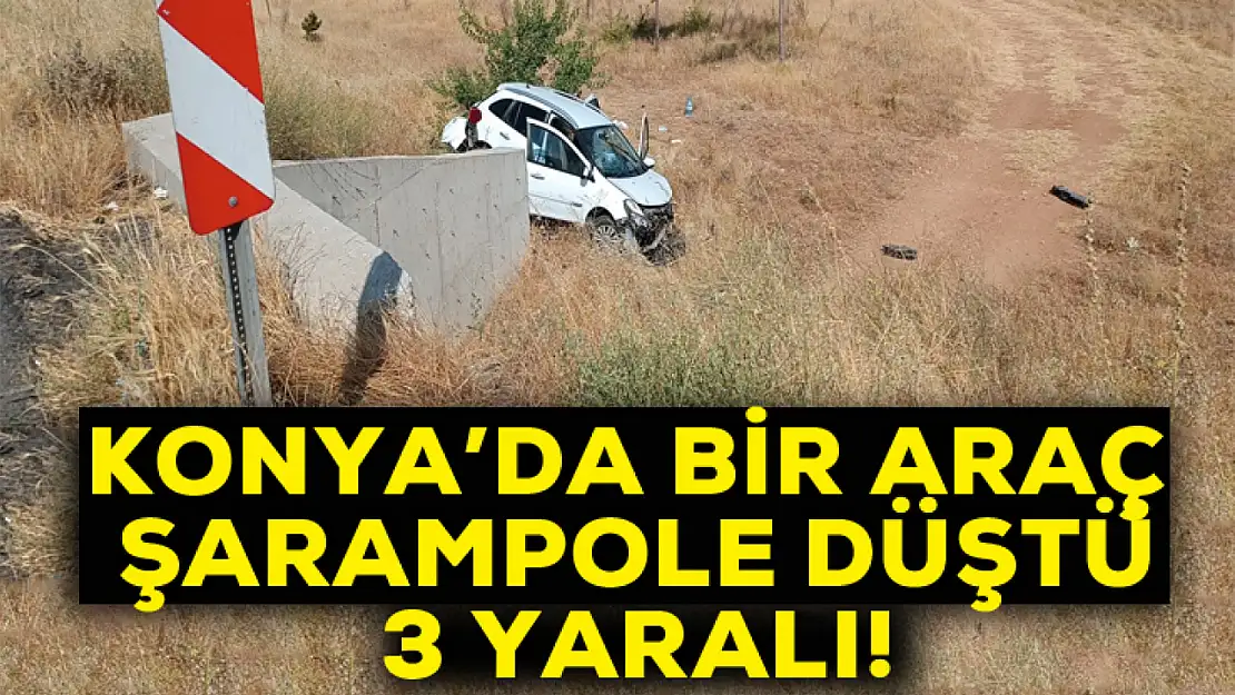 Konya'da şarampole düşen otomobildeki 3 kişi yaralandı