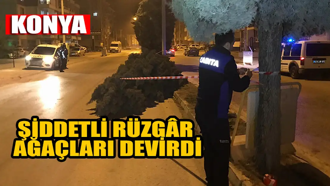 Konya'da şiddetli rüzgar ağaçları devirdi