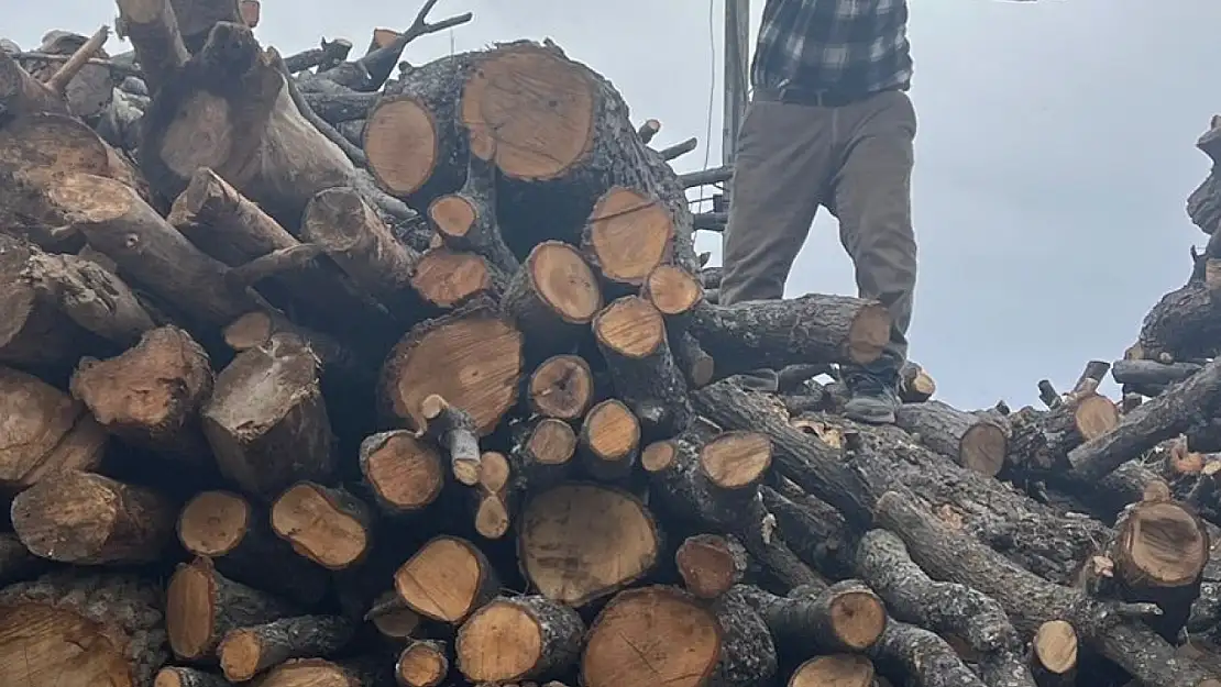 Konya'da sobalar yanmıyor, cepler yanıyor: Kış gelmedi ama zam geldi!