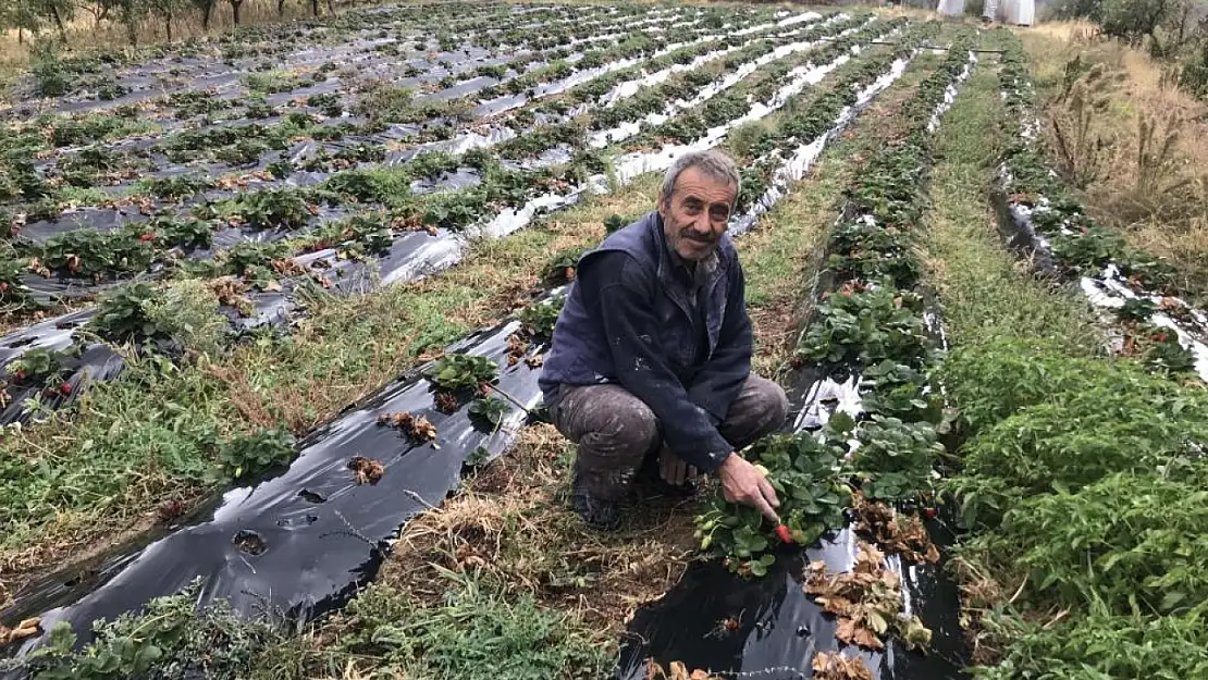 Konya'da sulama sahalarında suyun verimli kullanımı için kartlı sayaç!