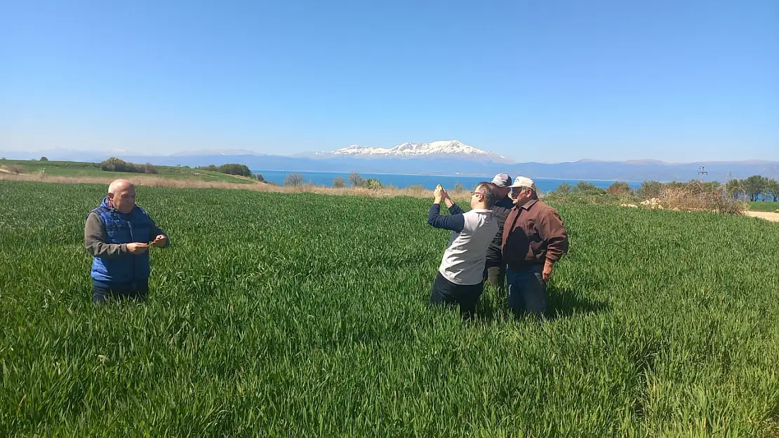 Konya'da tarım alanlarında saha kontrol çalışmaları sürüyor!