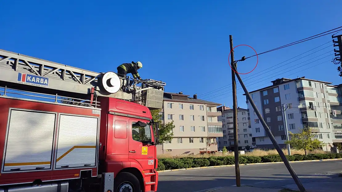 Konya'da telefon telinde mahsur kalan kedi kurtarıldı