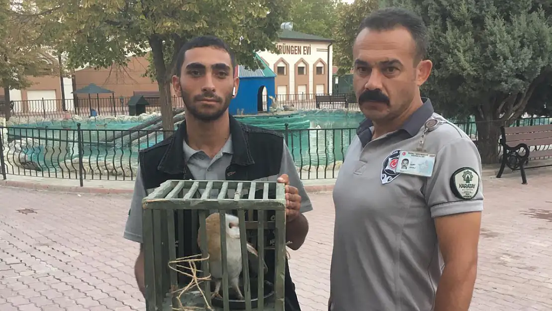 Konya'da türüne az rastlanan kuş yakalandı!