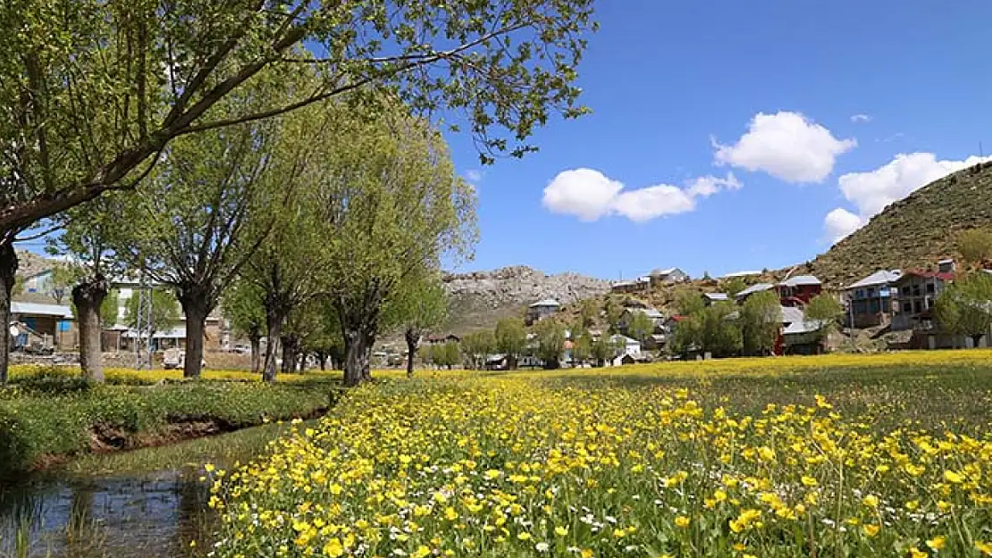 Konya'da yaylalar baharın tüm güzelliklerini sunuyor!