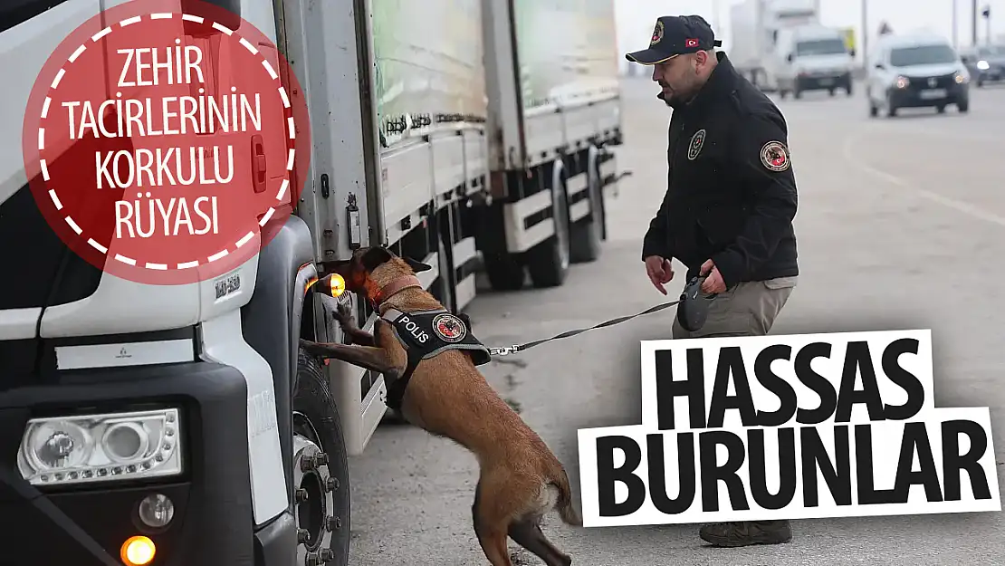 Konya'da zehir tacirlerinin korkulu rüyası: 'Hassas burunlar'