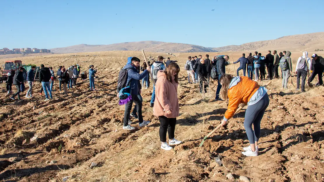 Konya'daki üniversite öğrencileri bin 800 fidanı toprakla buluşturdu!