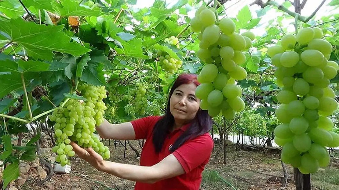 Konya'dan talep var!