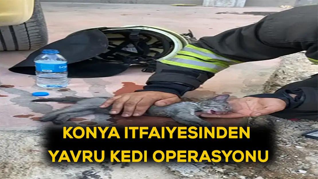 Konya itfaiyesinden yavru kedi operasyonu