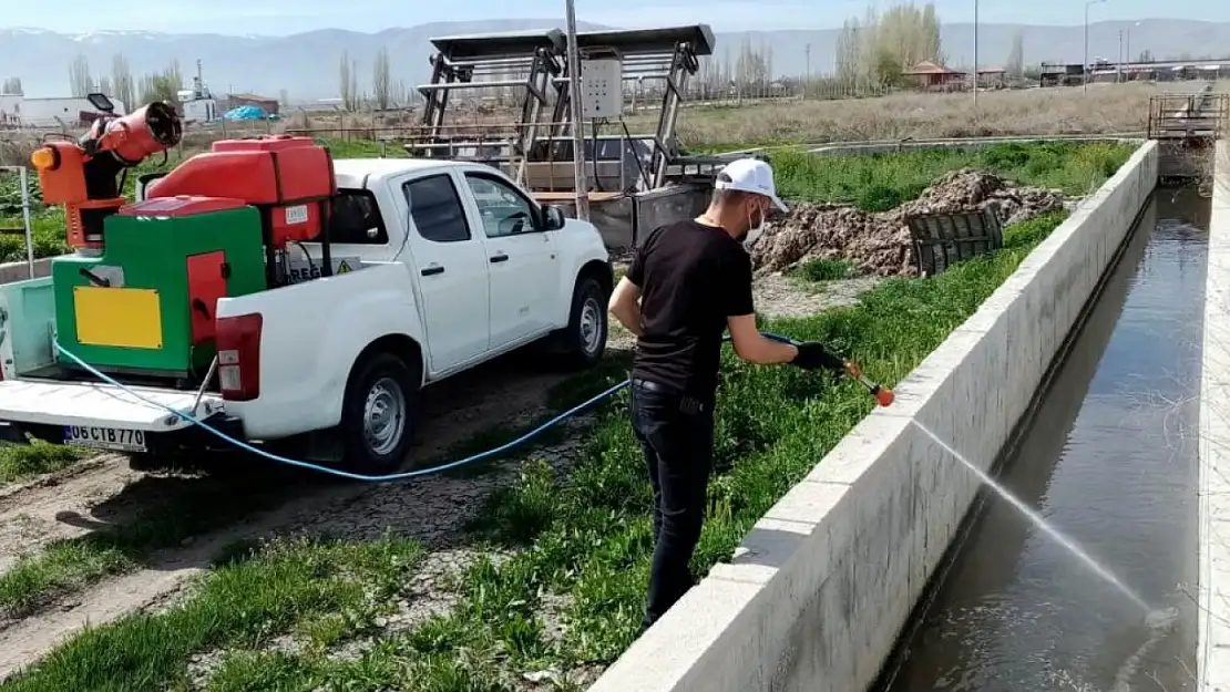 Konya'da haşerelerle mücadele