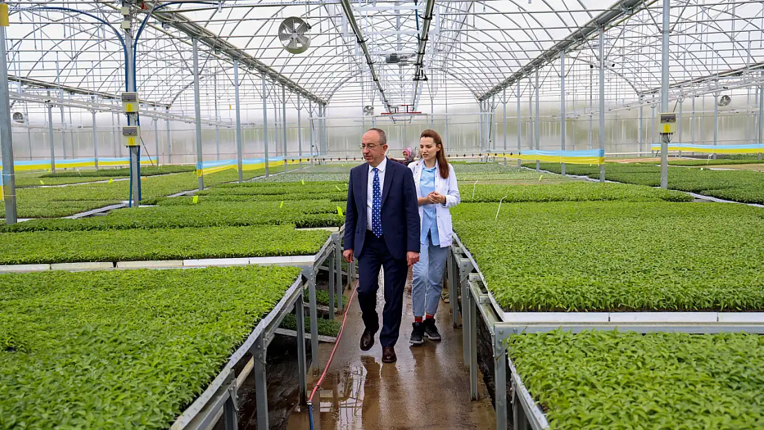 Konya'nın ilk ve tek Sebze Fidesi Üretim Merkezi'nde satışlar başladı