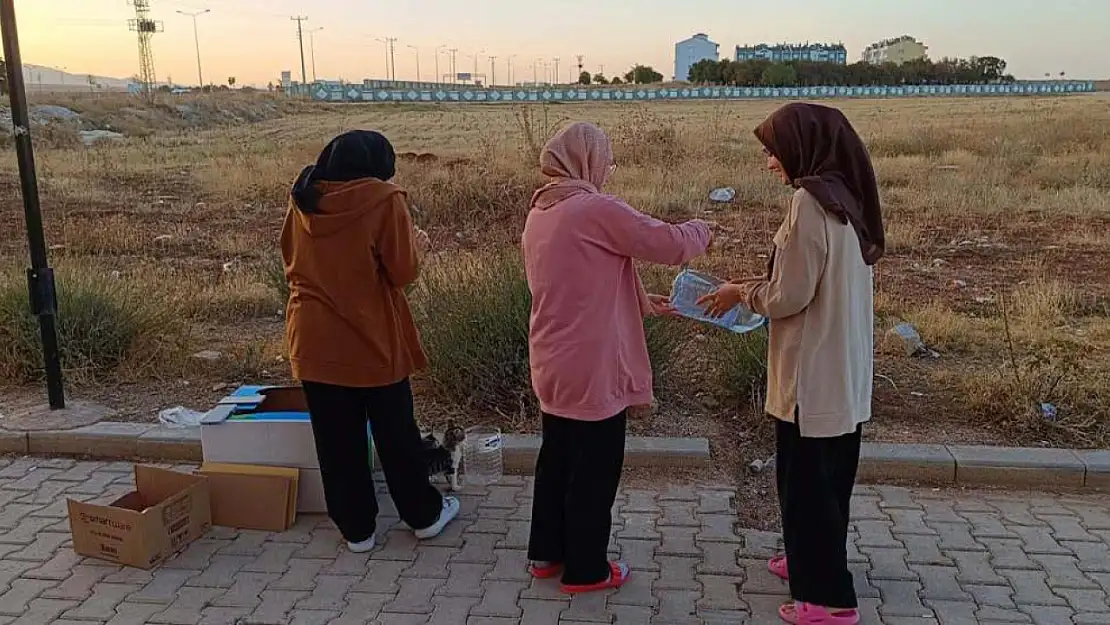 Konya'nın komşu ilinde öğrenciler kış öncesi sokak hayvanları için bakın ne yaptı!