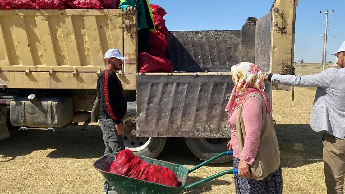 Konya'nın o belediyesi vatandaşa salçalık biber dağıttı