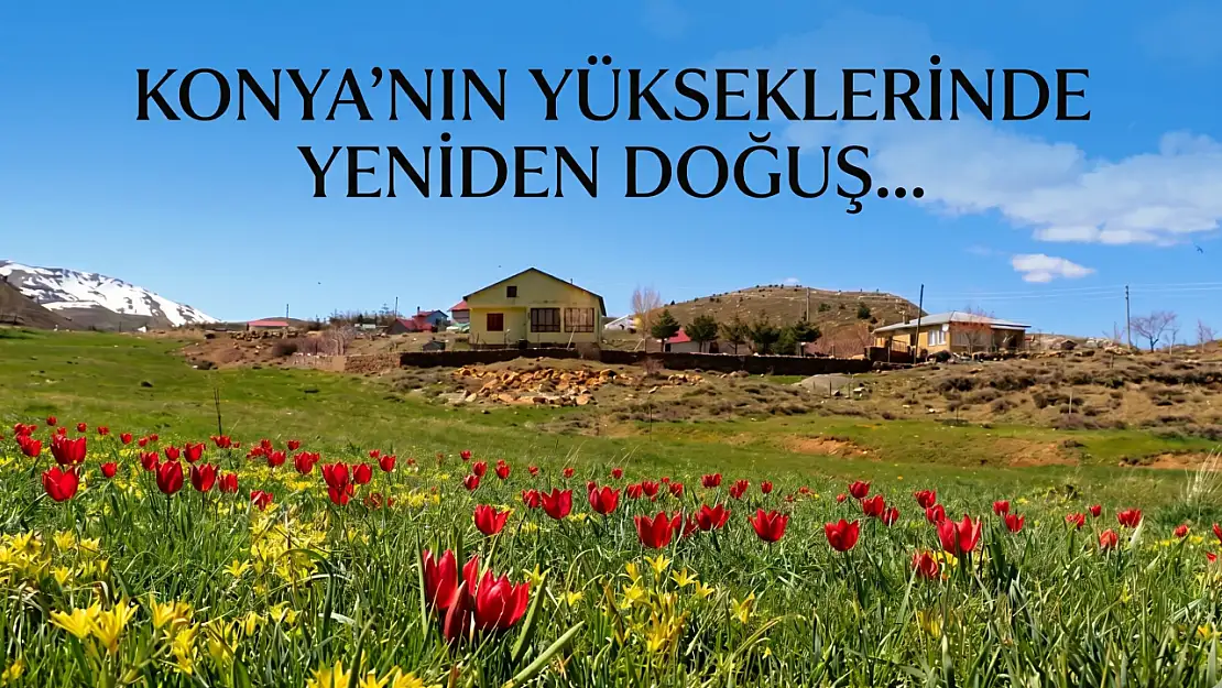 Konya'nın yükseklerinde yeniden doğuş