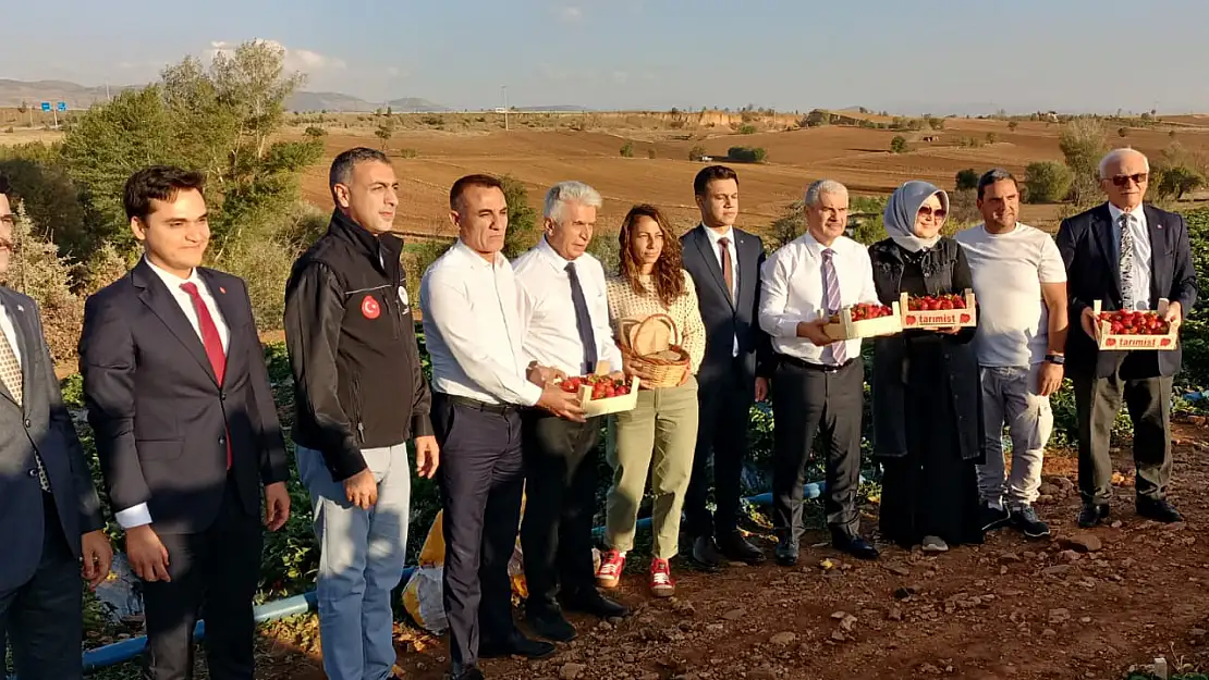 Konya Valisi çiftçilerle çilek hasadına katıldı