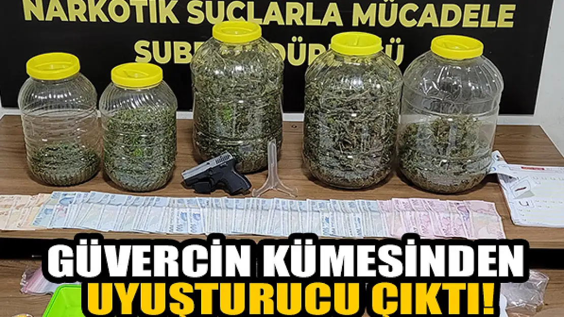 Konya'da güvercin kümesinden uyuşturucu çıktı!