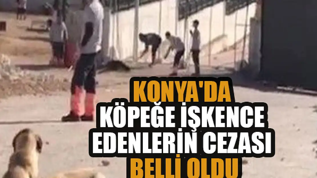 Konya'da köpeğe işkence edenlerin cezası belli oldu