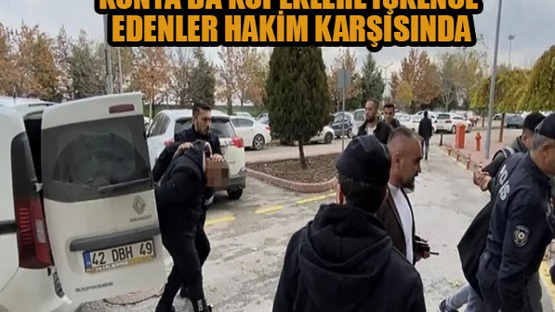 Konya'da köpeklere işkence edenler hakim karşısında