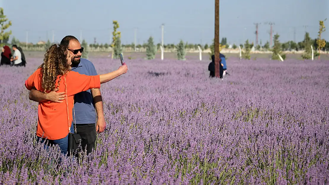 Konya'da 'lavanta günleri' etkinliği başladı