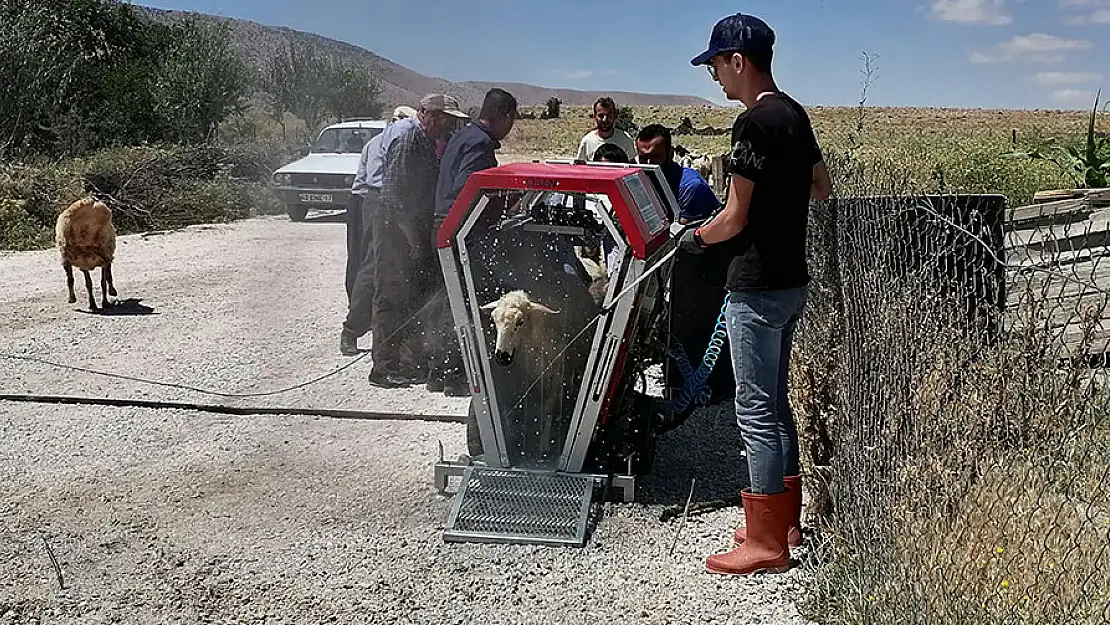 Konya'da mobil koyun banyosu ile koyunlar yıkanıp ilaçlanıyor