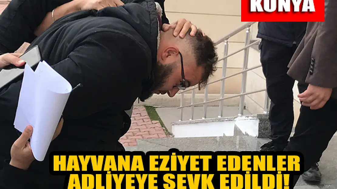 Konya'daki hayvana eziyet edenler adliyeye sevk edildi